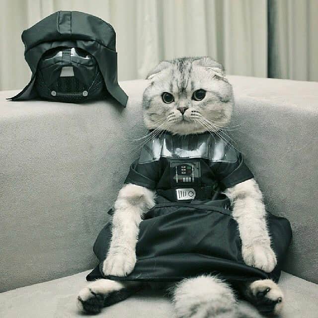 Roku Rokuのインスタグラム：「May the 4th be with you. #tb 👾」
