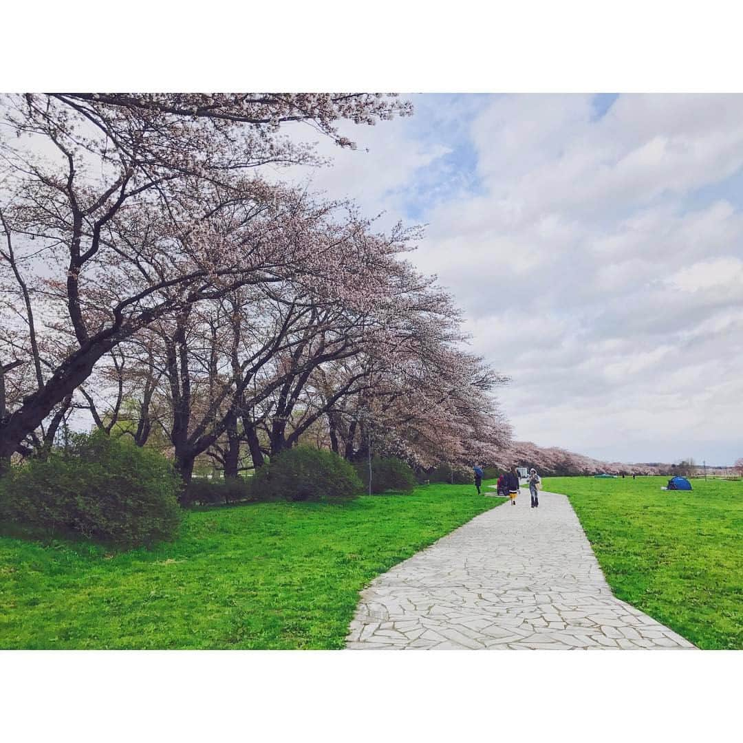 Takama Shibataのインスタグラム：「2017.04.19  #日本 #japan #岩手 #北上 #空 #sky #綺麗 #景色 #scenery #素敵 #beautiful #自然 #nature #桜 #cherryblossom」