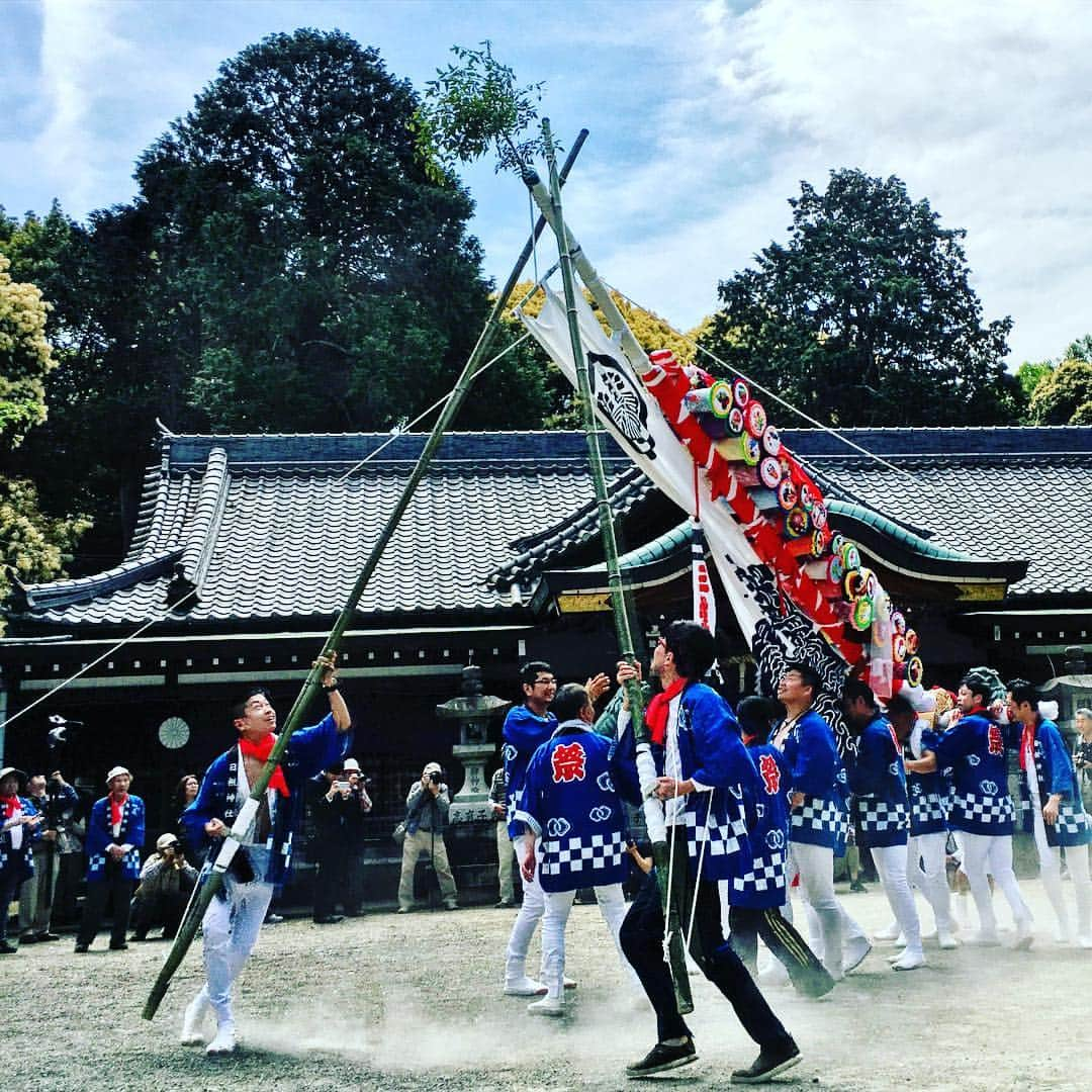 丸山穂高のインスタグラム：「こどもの日は、日根神社「まくら祭り」にて。枕幟（まくらのぼり）という独特の幟、よく見て頂くと幟に沢山の枕が付いているのが分かるかと。日根神社は日本で唯一、枕と寝床を守護する神社でもあるとか。 #泉佐野市 #日根神社 #まくら祭り #八百万の神々」