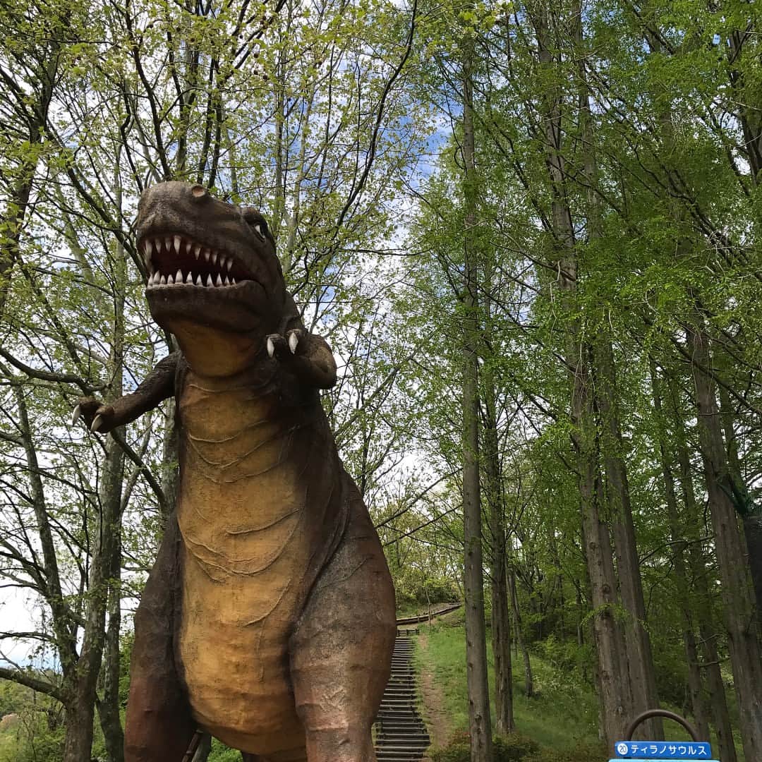 滝沢眞規子さんのインスタグラム写真 - (滝沢眞規子Instagram)「数年ぶりにきた恐竜公園。恐竜好きのお子様は絶対喜ぶのでぜひ🌴青空と新緑とお花と…大都会とは違いすぎて…自然って素晴らしい🍀🌸🌿」5月5日 11時55分 - makikotakizawa
