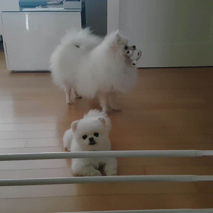 thesoy_yoonsoのインスタグラム