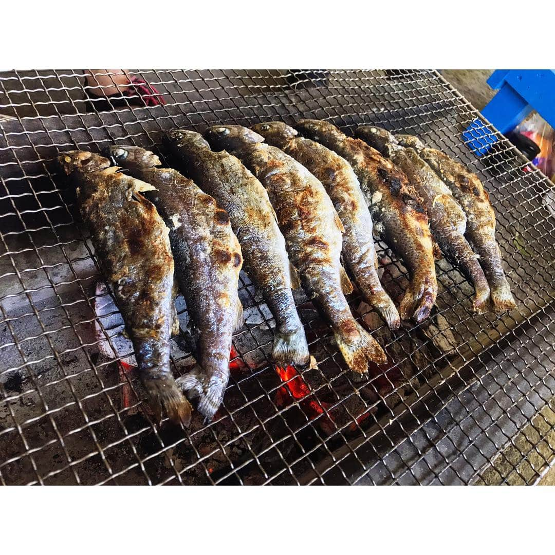 戸田れいさんのインスタグラム写真 - (戸田れいInstagram)「手づかみで捕まえたお魚をその場で焼いて食べました🐟美味しかった☺️ #塩焼き#BBQ#網焼き#川魚#🐟」5月5日 18時30分 - rei_toda