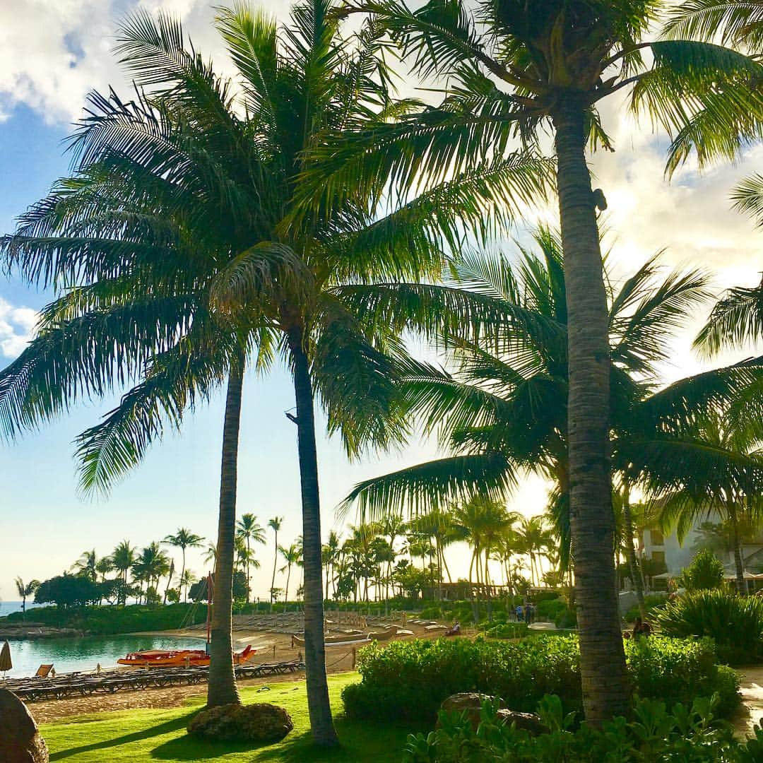 小川淳子さんのインスタグラム写真 - (小川淳子Instagram)「gwは ちょっとだけ Hawaii🌴へ ♡  向こうでは とにかく携帯を見る時間もないくらい 子供たちと 遊んでいました 😎🍒 家族みんな真っ黒に🌞  みんな元気に 帰ってきました ✈️♡ #ただいま〜  #gw #trip #hawaii」5月5日 19時23分 - junkoogawa1225