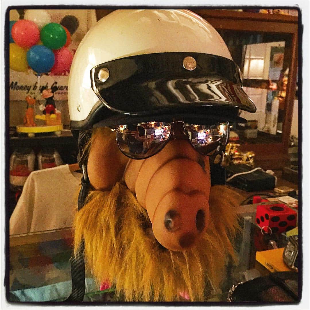 大川知英のインスタグラム：「アルフポリス🇺🇸🏍🚬 #ビンテージ #アルフ #ポリス #ハーレーヘルメット #アメカジボーイズ #TakatsuBase」