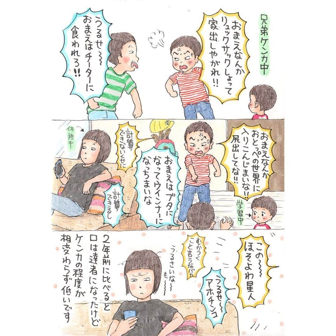 マルサイのインスタグラム