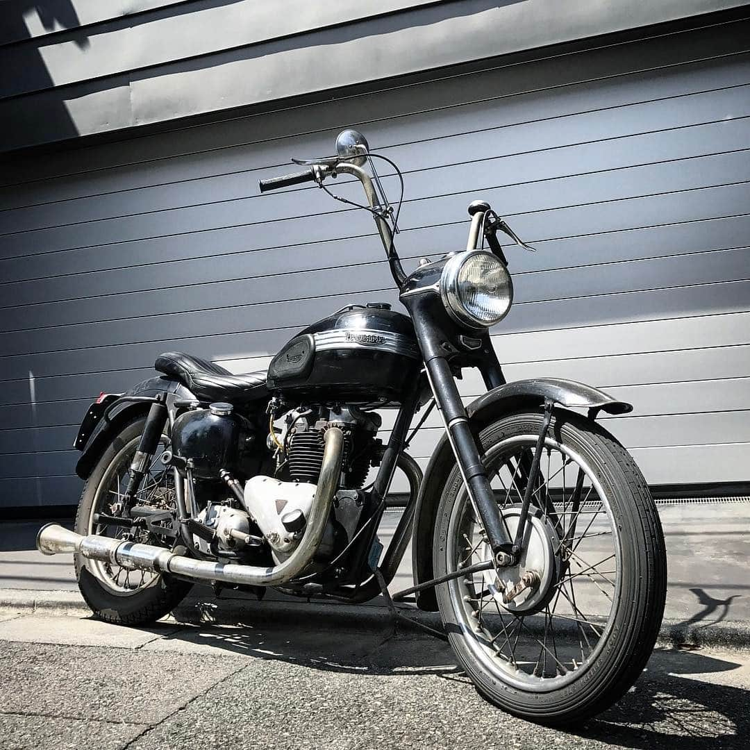 滝沢伸介さんのインスタグラム写真 - (滝沢伸介Instagram)「Love. #triumph #blackbird  #holidayrun」5月6日 13時11分 - sin_takizawa