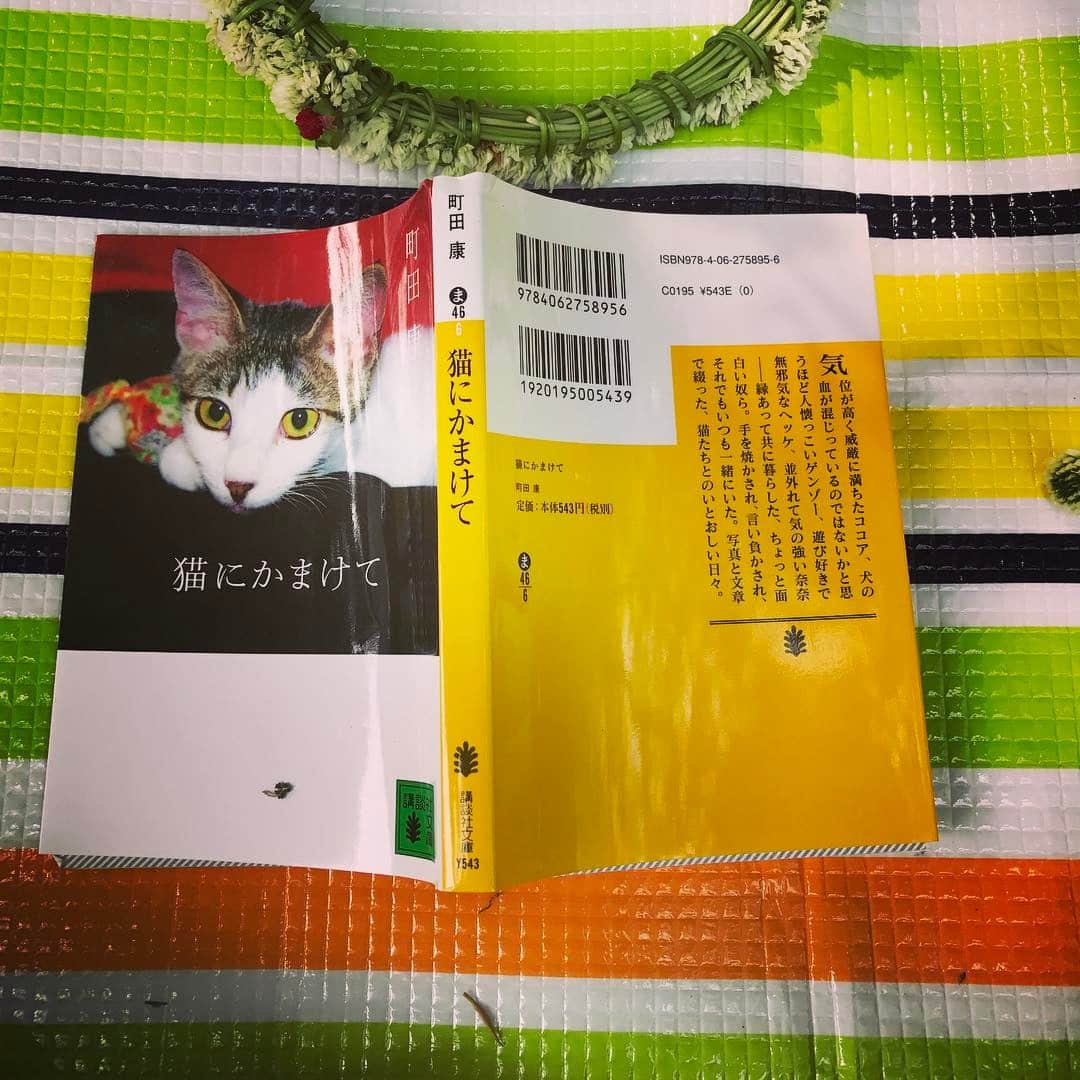 奥菜恵さんのインスタグラム写真 - (奥菜恵Instagram)「#猫にかまけて #町田康」5月6日 14時23分 - megumi_okina
