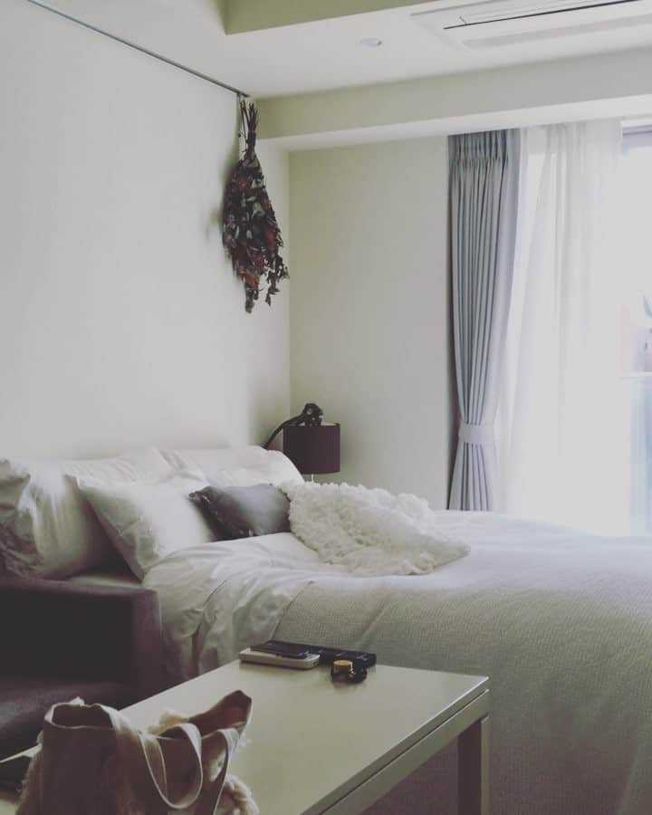 RisaWisteriaのインスタグラム：「Find Olie. #monkey#commonmarmoset#myroom」