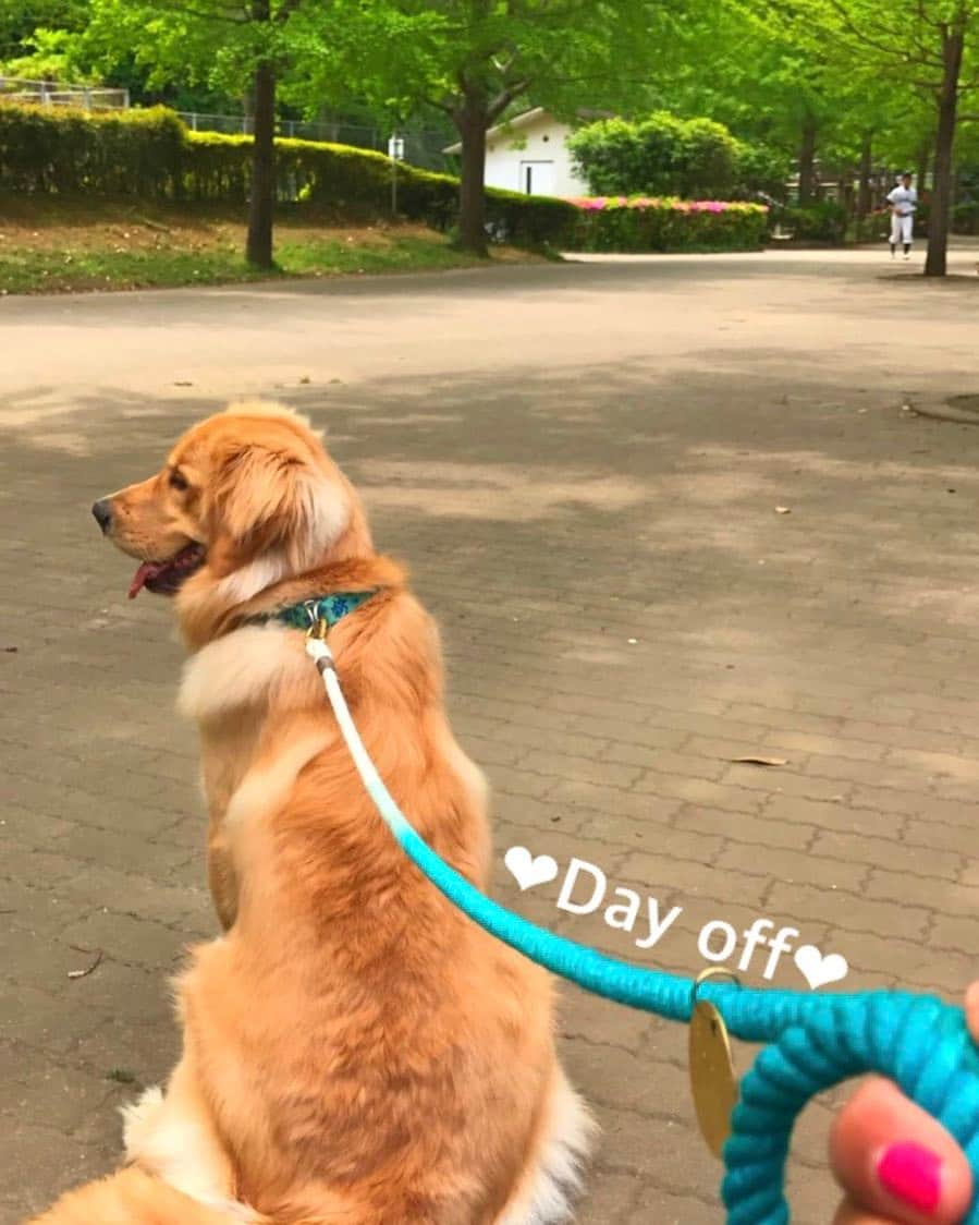 二見梓さんのインスタグラム写真 - (二見梓Instagram)「🌿🌷🐶🌼 休日のまったり感。よく寝た〜💤 #dayoff#refresh#walkingthedog」5月7日 14時33分 - a.z.u.0.5.1.5