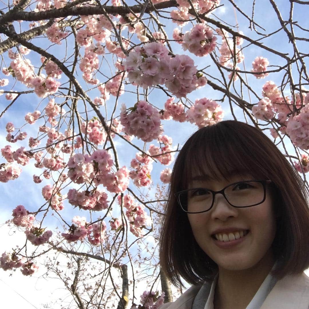 高橋春花のインスタグラム