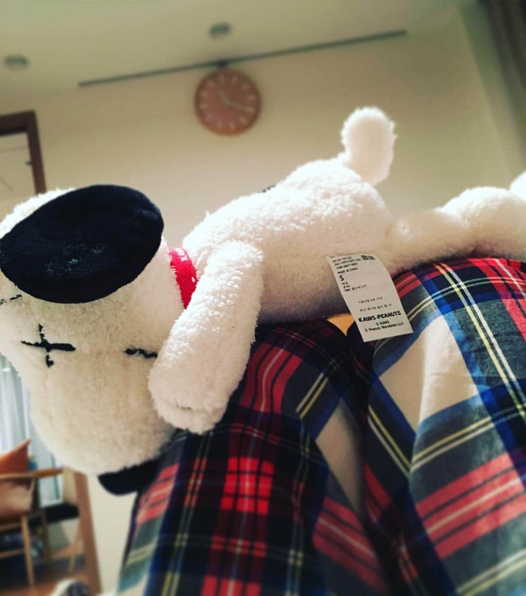 笛木優子のインスタグラム：「ＧＮ💕  今日の名言 「器やん」w  #しくじり先生 #大好き#アンミカさん #ポジティブエネルギー#スヌーピー」