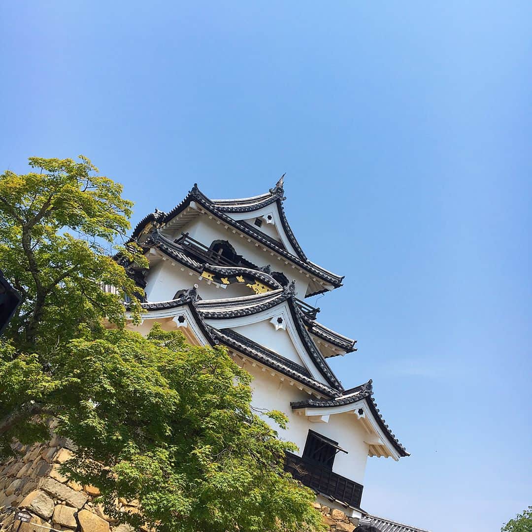 藤川沙弥のインスタグラム：「スワイプ▶︎▶︎ パナソニック日本のお掃除再発見プロジェクトの記念すべき第一回目にみんなで参加してきました✨ . 第一回の場所に選ばれたのは、築城410周年を迎えた国宝の彦根城🏯！そんな彦根城を地元の小学生の子達もお掃除しに駆けつけていました☺️🎒👏🏻 地域で国宝を大切に守る姿勢はとても感慨深いものでした😌 . #Panasonic  #国宝彦根城を大掃除  #PR」