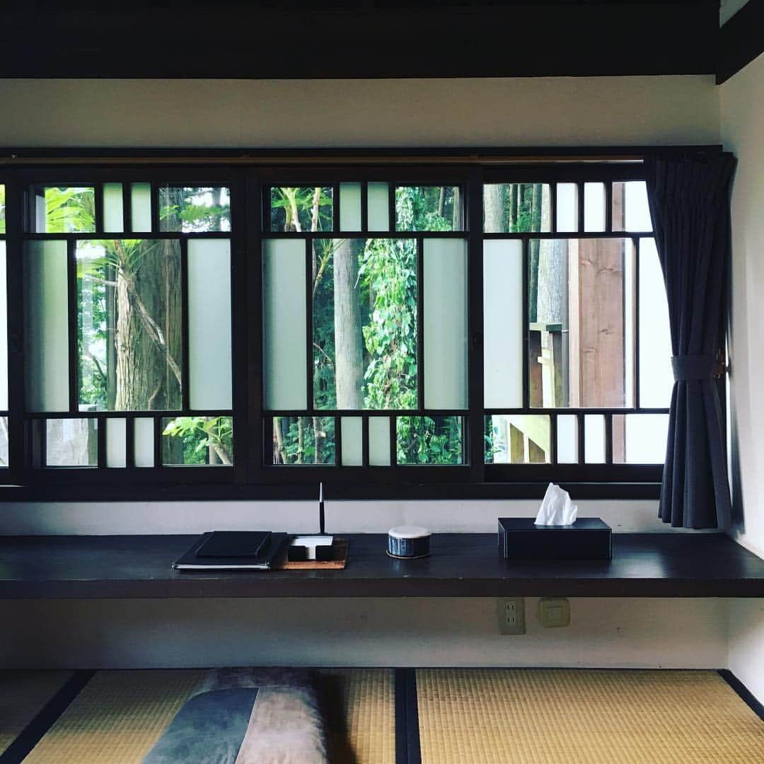 工藤まやさんのインスタグラム写真 - (工藤まやInstagram)「杉木立のお部屋「松葉」をあとに。日本を満喫する滞在、旅館のおもてなしに大分の人のあたたかさ。お世話になりました。#湯布院#一壺天#杉木立#おもてなし#旅館#温泉#oitadays」6月4日 13時44分 - mayahawaii325