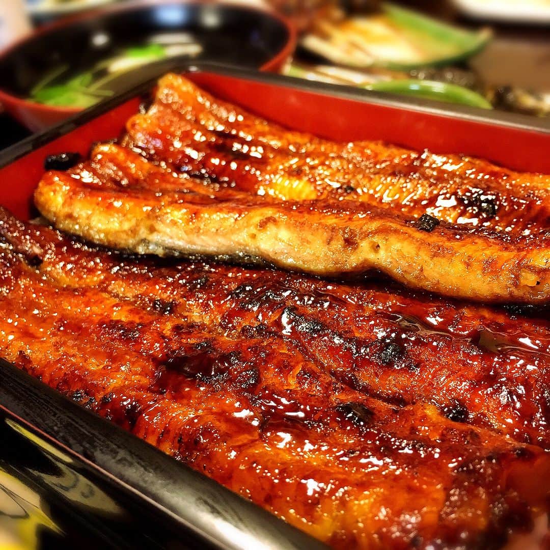 ナンパ系ファッショニスタ　キャンのインスタグラム：「鰻を食べる時は、いつもご馳走になってるな。 #ご馳走様です #ウナギ #鰻 #うな重 #日本酒 は#酔っ払う #肝 とか#ヒレ とかの#串 #うま」