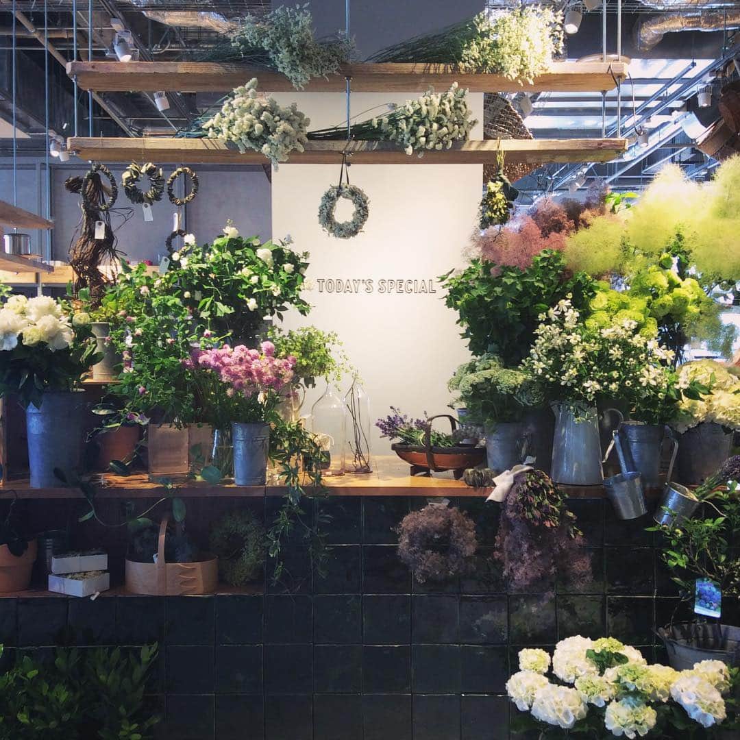 のインスタグラム：「＜EVENT-Kyoto＞ 青空が広がって、お出かけ日和の日曜日ですね。  本日京都店では、毎月ワークショップをお願いしているFlower griotteさん（ @miyano1973 ）にお越し頂いて、フラワーマルシェを開催しております。 店頭にgriotteさんセレクトのお花がたっぷりの並んでいて、いつもと違った雰囲気もお楽しみいただけます。 1本からのご購入はもちろん、お好みのお花を選んでブーケにすることもできますよ！ 是非お立ち寄りくださいませ。  #todaysspecial #トゥディズスペシャル #京都BAL #kyotobal #flower #お花」