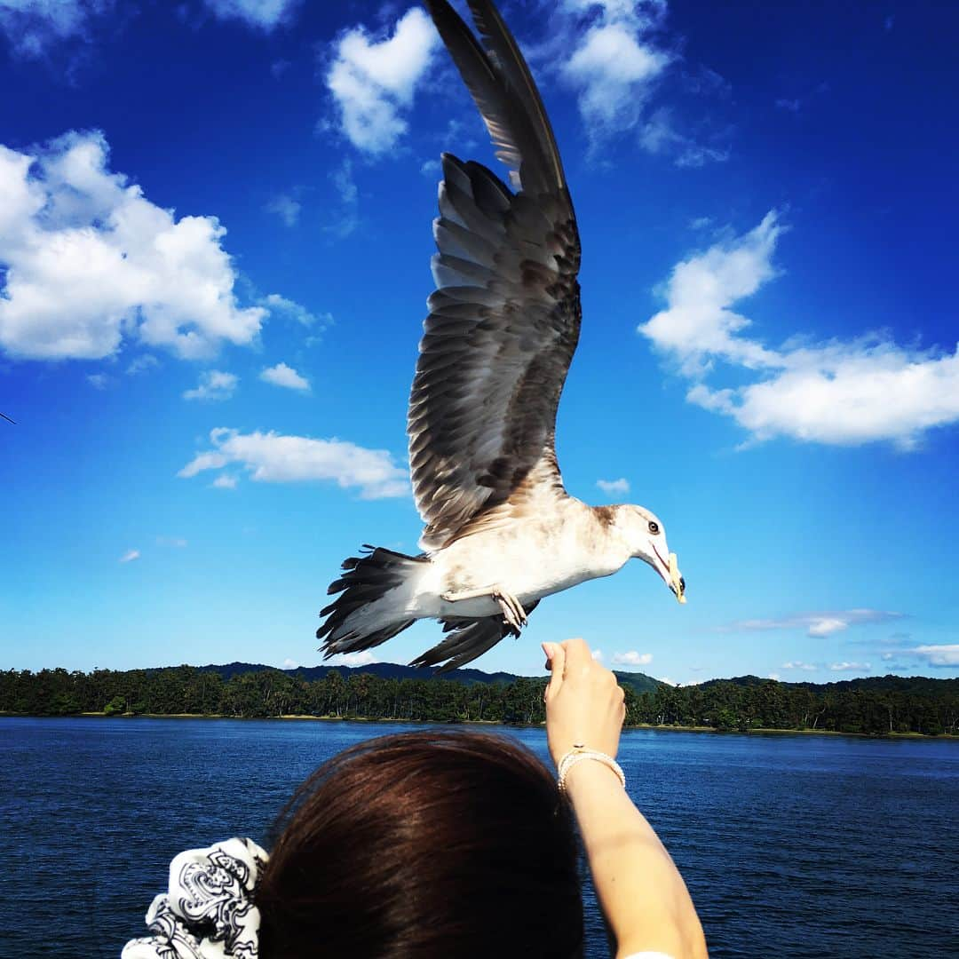 鈴木砂羽さんのインスタグラム写真 - (鈴木砂羽Instagram)「初めて訪れた天橋立☁️ そして以前から気になっていた籠神社。 本日は天気も良く最高のロケーションでした☀️ ママチャリおばちゃん、爽快に風切って籠神社へ。  思い立って突如訪れてしまったけど 来てよかったと心から思いました。 すごくパワーをいただきました✴︎ 感謝！！！ お参りの後、抜けるような青空を見上げると 龍神様に会えた気がしたなぁ☁️🐉 もう一つ、近くにある真名井神社はお直し中 でしたが、 ここもすごく静かなパワーを感じました🌲  帰りの船ではカモメとランデブー。  お昼に外で食べたラーメン、気持ちよかった。 また食べたい🍜 で、また突如思い立ってここに来たいなぁ。。。 ということで〆っ🤗  #天橋立 #丹後 #籠神社 #真名井神社 #くじからラーメン」6月5日 18時13分 - bombon_sawa