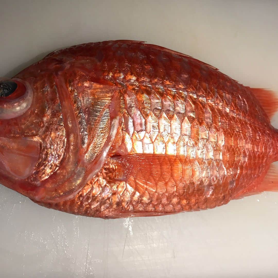 鮨処 然のグルメインスタ