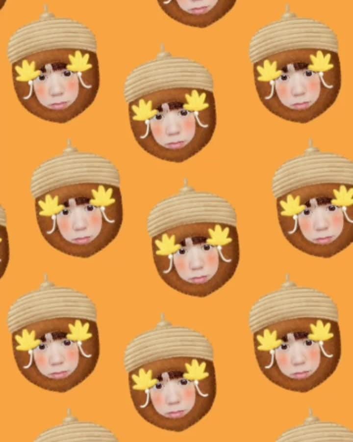 虎南有香のインスタグラム：「お散歩を終えた、どんぐりコナンちゃん🐯🍃」