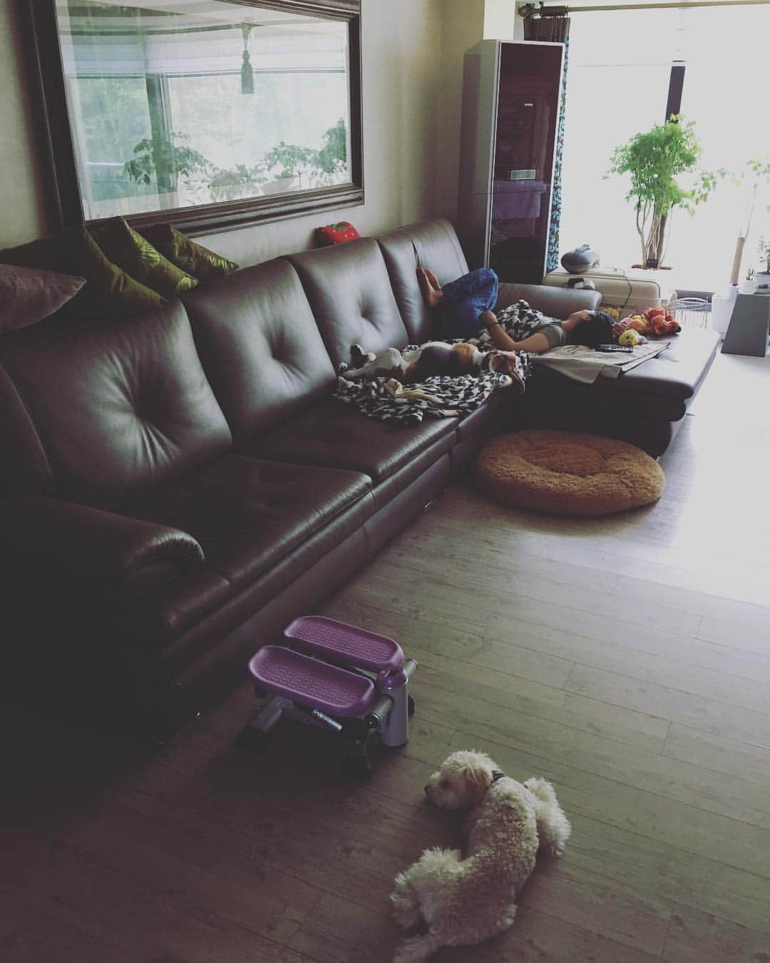 イ・ヒョヌのインスタグラム：「사랑하는 우리 엄마❤️ 엄마랑 별이랑 자는 모습이 똑같다❤️#엄마별하늘 #천국의집 사랑해요❤️」