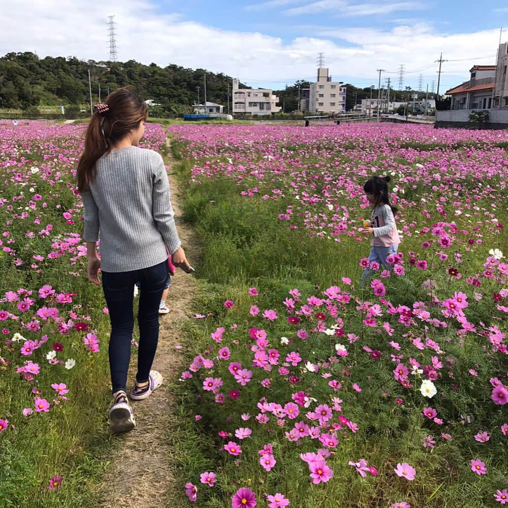 新城舞さんのインスタグラム写真 - (新城舞Instagram)「. . .. 南の島からの贈り物〜☀️🏝💕 かぁやとあんじゅの手作りマグカップ？と 可愛い可愛い😍❤️💕お手紙💌付きの すこーし早い誕生日プレゼント🎁💕♪ しに嬉しい(*´˘`*)♡ありがとう☺️❤️ @anshan05 . . そして、今日は将太の誕生日🎂🎉🎊👏 22歳おめでとう((o(´∀｀)o))♪ いつも舞のせいで我慢ばっかさせて ごめんなさい🙏🙏そしてありがとう🙏🙏 . 自分こんなに家族の事大好きだったんだぁ って実感できた日だったな〜🤔🤞💕 て事で明日も頑張るぞーーーー💪💪おっ .. . .」5月13日 21時38分 - newcastledance7