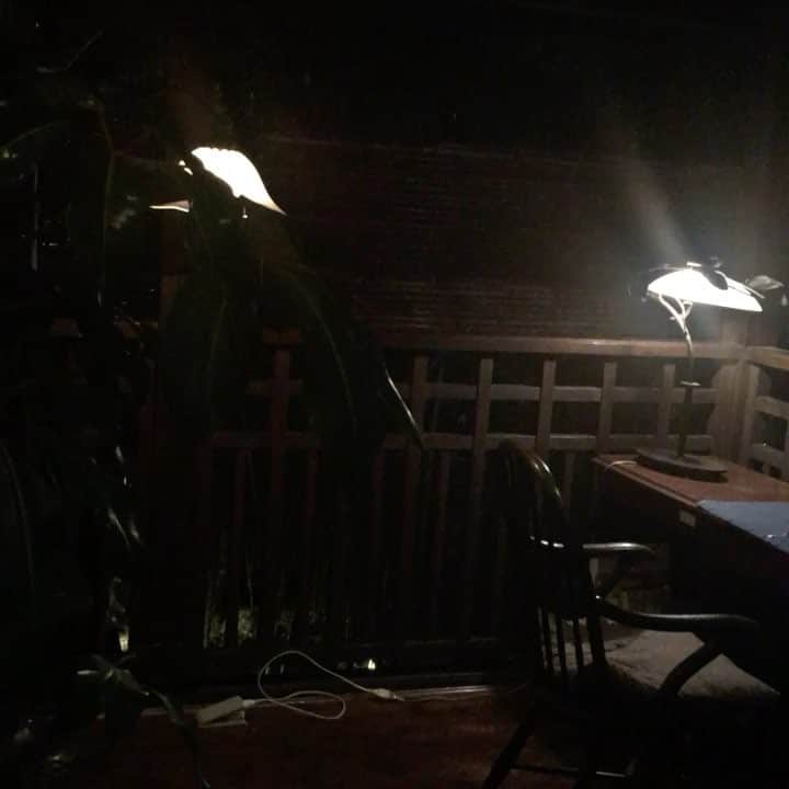 YUKI TAKESHIMAのグルメインスタ