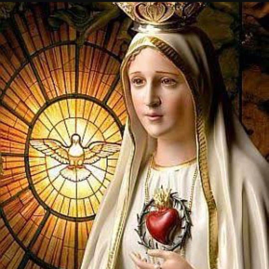 Eliana Michaelichin Bezerraのインスタグラム：「Santíssima Virgem, que nos montes de Fátima vos dignastes revelar a três pastorinhosos tesouros de graças contidos na prática do vosso santo Rosário, incuti profundamente em nossa alma o apreço em que devemos ter esta devoção, a vós tão querida, a fim de que, meditando os mistérios da Redenção, que neles se comemoram, nos aproveitemos de seus preciosos frutos e alcancemos a graça (……………………….) que vos pedimos, se for para a glória de Deus e proveito de nossas almas. Assim seja. Pai-nosso, Ave-Maria, Glória ao Pai.」