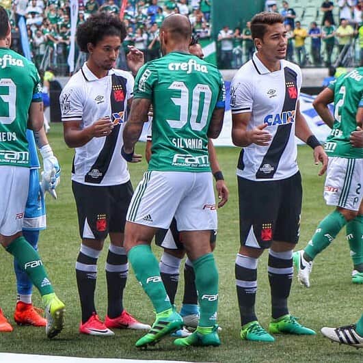 フェリペ・メロのインスタグラム：「😍💚🔝🐷 @felipemelo」