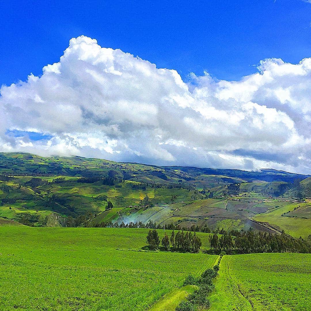 内山理名さんのインスタグラム写真 - (内山理名Instagram)「NICE VIEW📸  ずーっと眺めていると 目が慣れてきて 見えていなかったものが見えてくる。。 大自然からメッセージを頂いたような…🌳 視野を広げてみよう…  #greenhill #nature  #sky #message」5月15日 20時41分 - rinauchiyama_official