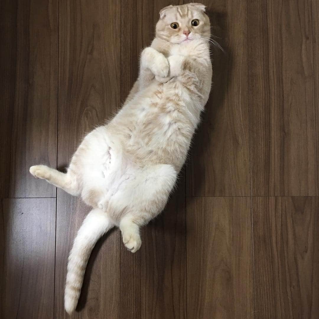 金太のインスタグラム