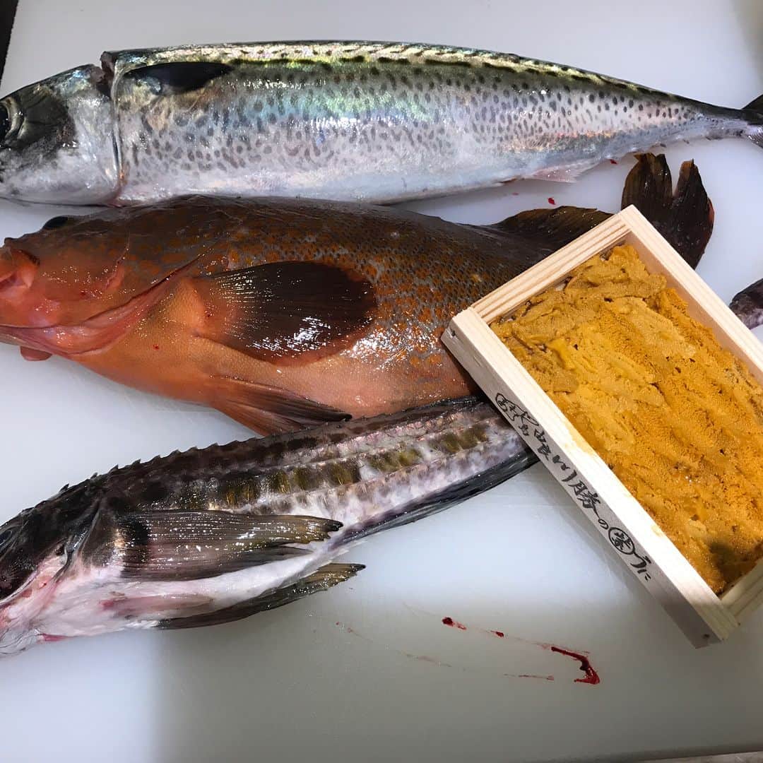 鮨処 然のグルメインスタ