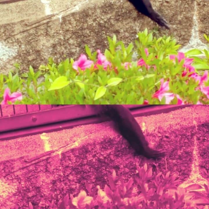 栗山絵美のグルメインスタ