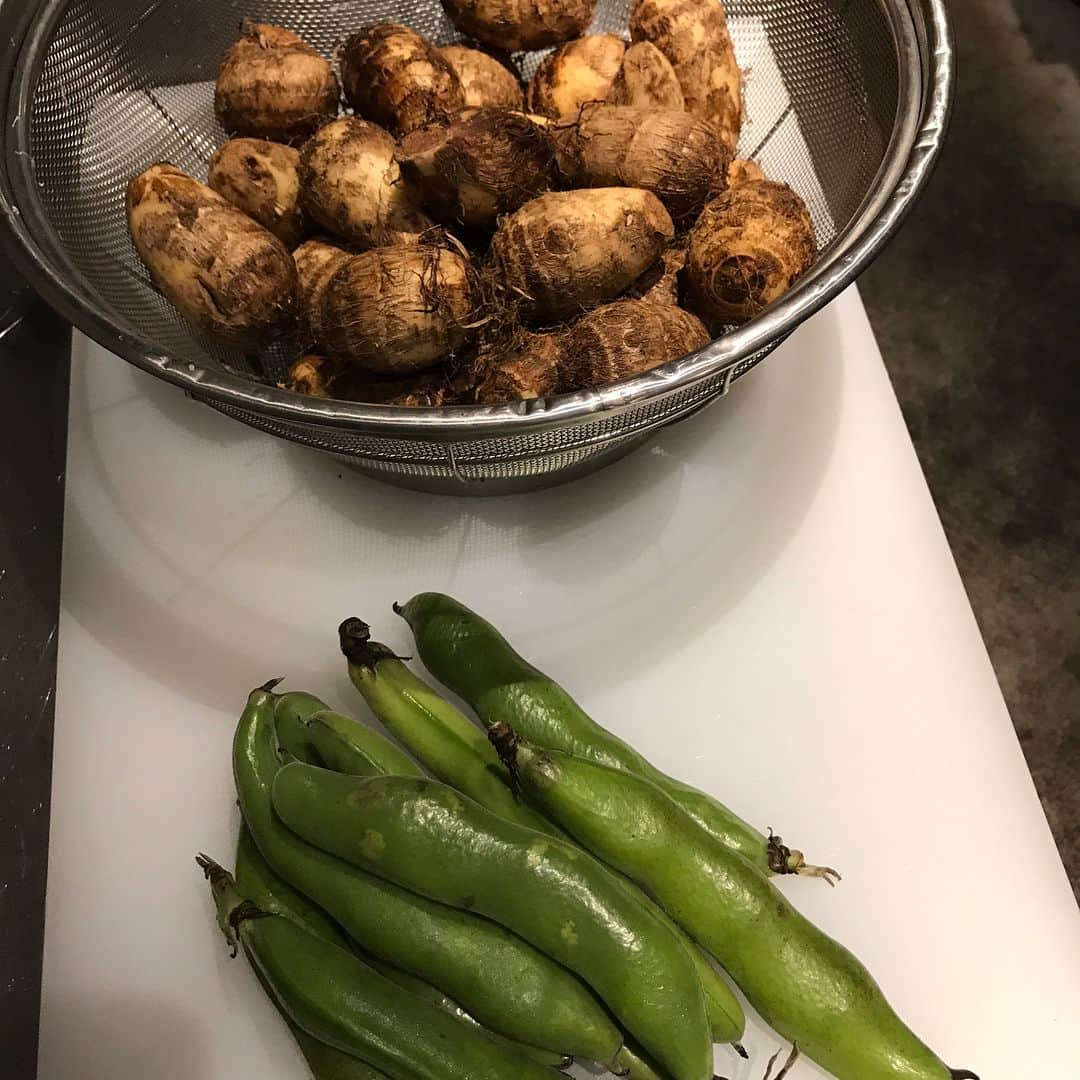 鮨処 然のインスタグラム：「こんばんわ。  本日は旬のお野菜をご紹介します。 兵庫の一寸豆と奈良の小芋です。 添え物として使いますが、主役を 追い抜く勢いでいい味出します。  小芋は六方に剥いて旨味八方の出汁で 含めていきます。 一寸豆はサッと火を通してキンキンに 氷でしめます。イイ緑が出てきます。  そしてエビですが当店では人気の 握りです。串うちで伸ばしてその後、 エビの頭(ミソの部分)の濃厚な出汁に 漬け込んでます。  #鮨処然 #北新地 #西梅田 #寿司 #鮮魚 #sushi #日本酒 #sake」