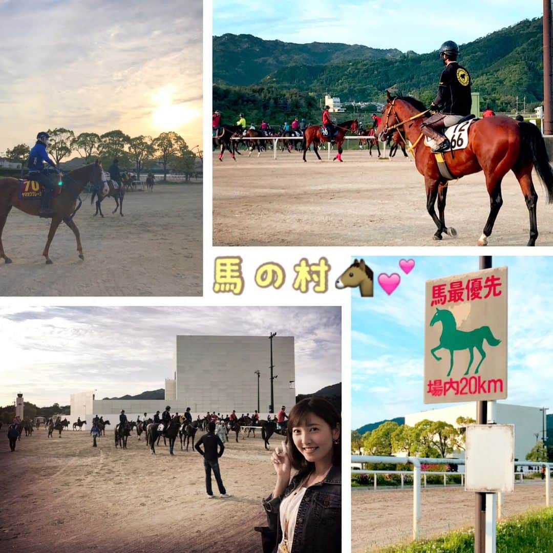 小澤陽子さんのインスタグラム写真 - (小澤陽子Instagram)「東京戻ってきました😊🌟 今日の出張は…そう、#栗東トレーニングセンター という所で、競馬の取材でした🏇‼️ ここは、競走馬が毎日、朝早くからトレーニングをするところ😌✨ 写真を見てもわかるように、この"トレセン"内では、競馬界の主役である、#サラブレッド🐴が最優先の村 で、#独特のルール があるため、広大な敷地を歩くのにも、気を付けるポイントが沢山あるんですよ😳🤔❗️ #トレセン情報 が沢山あるので、また明日以降、少しずつ発信します…😊🎵 #みんなのKEIBA #UMAJO #競馬 #牝馬３冠 2戦目 #GI #オークス #朝が早いと1日が長い💤 #おやすみなさい〜😪 #おざよーtrip✈︎」5月17日 22時46分 - yoko.ozawa729
