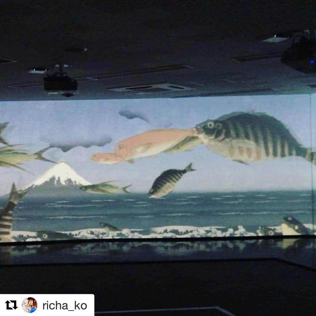 スーパー浮世絵『江戸の秘密』展のインスタグラム：「#Repost @richa_ko (@get_repost) ・・・ 動く浮世絵〜🐟 #スーパー浮世絵江戸の秘密展  #superukiyoe」