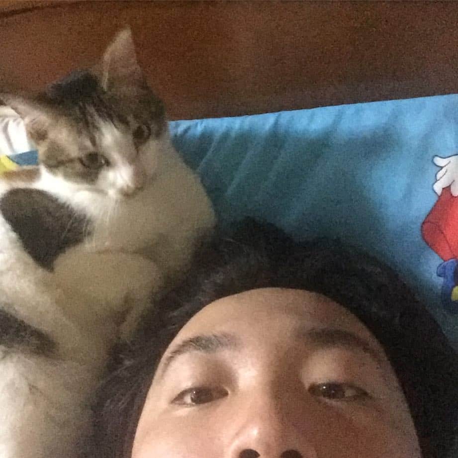 小山英機さんのインスタグラム写真 - (小山英機Instagram)「実家。 太ネコと広デコ。」5月18日 17時45分 - monkoya13