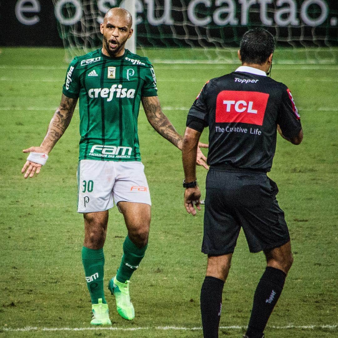 フェリペ・メロのインスタグラム：「🐷💚🔝 @felipemelo」