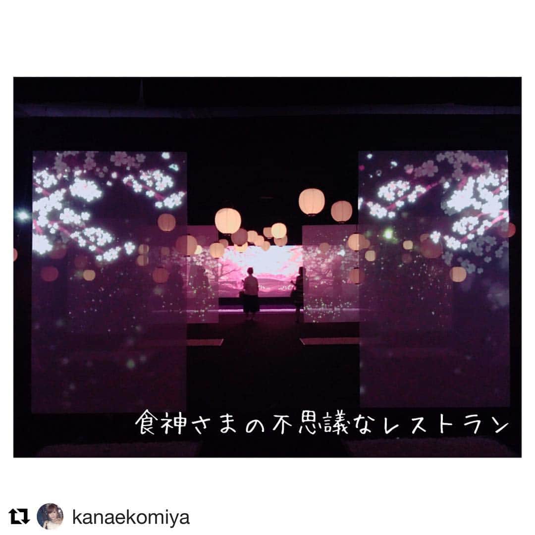 食神さまの不思議なレストラン展さんのインスタグラム写真 - (食神さまの不思議なレストラン展Instagram)5月19日 11時16分 - tabegamisama