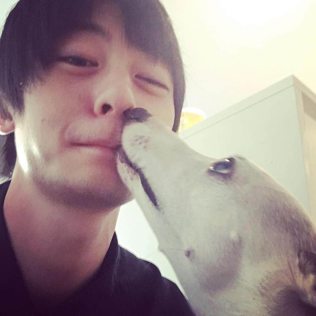 犬飼貴丈さんのインスタグラム写真 - (犬飼貴丈Instagram)「可愛いわんこと戯れました。 #犬#わんこ#ウィペット#走るの速い犬種#やたらと鼻舐められた#わんこじゃなかったら怒ってた」5月19日 22時17分 - atsuhiro.inukai_official