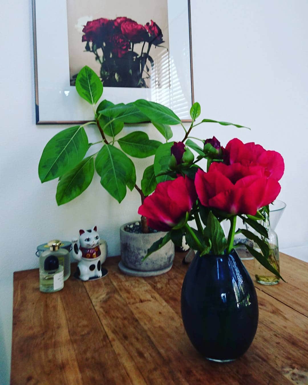 小野真弓さんのインスタグラム写真 - (小野真弓Instagram)「シンクロ🌹🌹 写真は薔薇。生花は芍薬。 #薔薇 #芍薬 #深紅 #ダイニングテーブル #インテリア」5月20日 8時22分 - hanaharuaroi