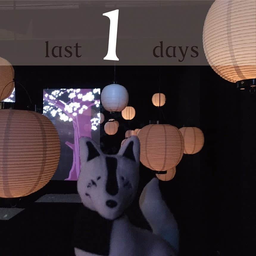 食神さまの不思議なレストラン展のインスタグラム：「【展示会終了まで残り1日‼️】 #tabegamisama #食神さまの不思議なレストラン展 #日本橋 #茅場町 #和食 #ウカ #ウカ旅 #ぬい撮り #ぬいぐるみ #japaneseculture #digitalart #japaneseculture #digitalart #momentfactory」