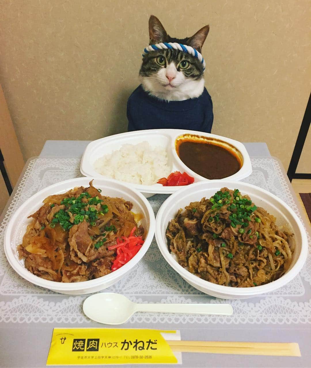 マロのグルメインスタ