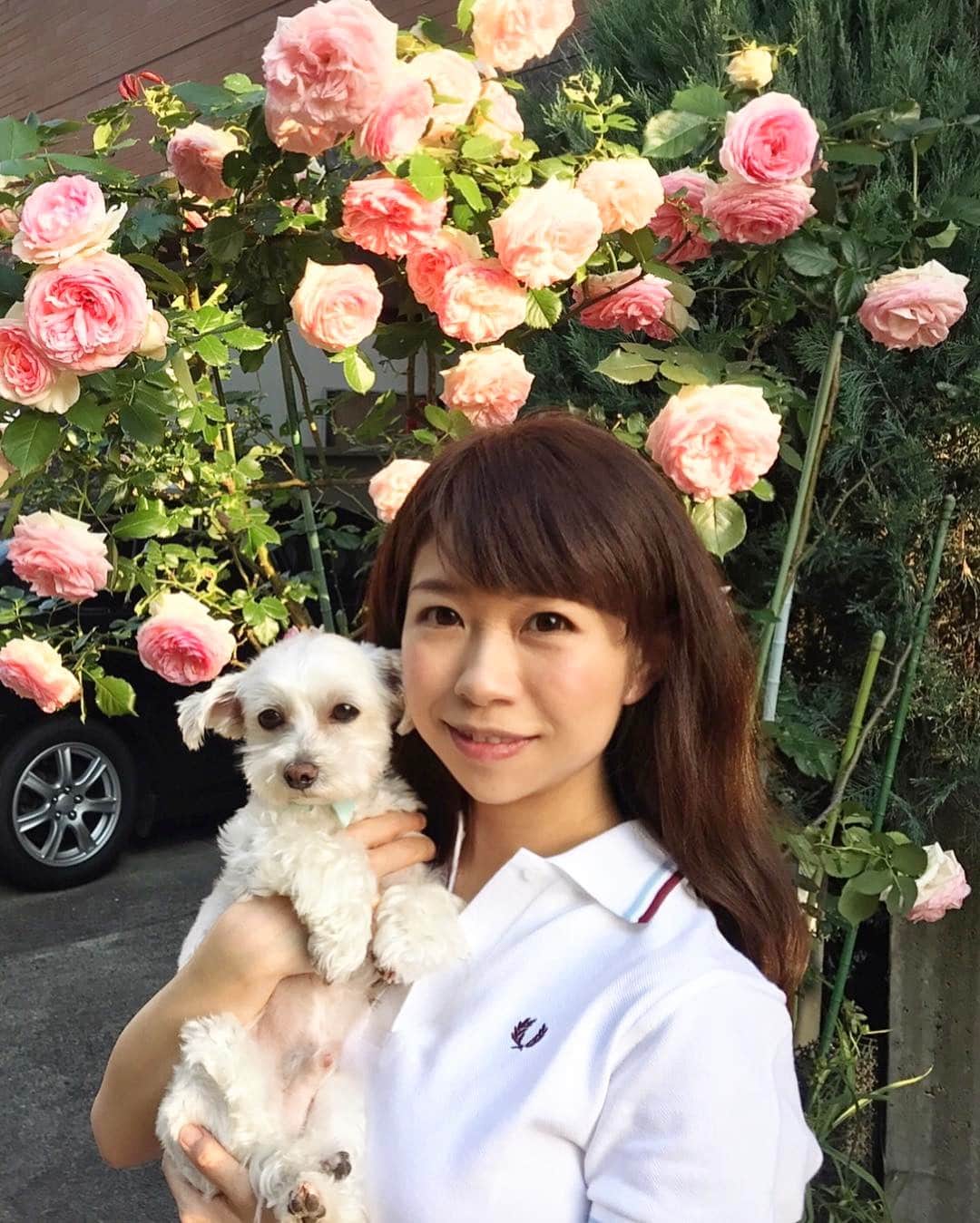こままりえのインスタグラム