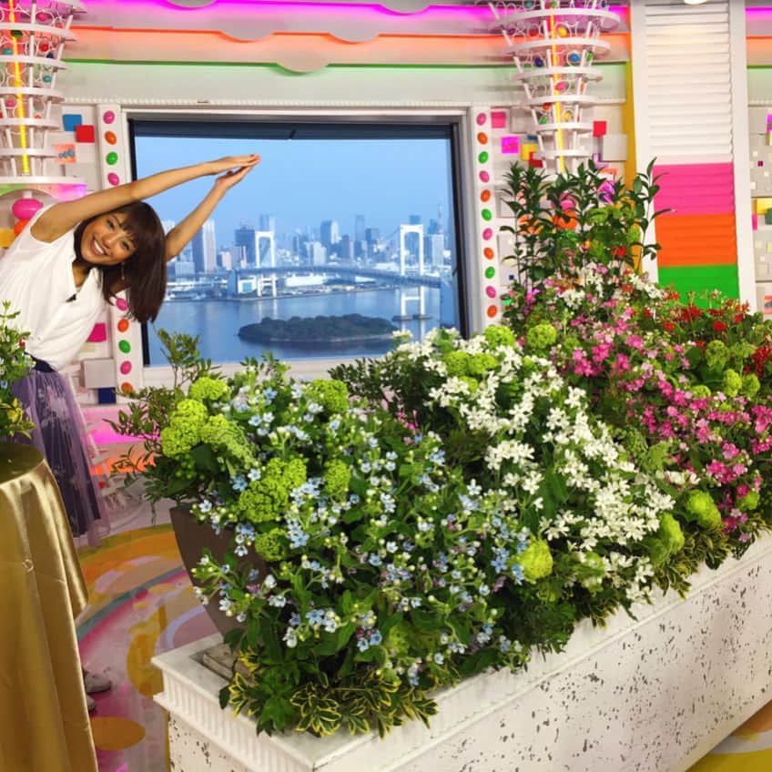 藤井弘輝(ふじいこうき) さんのインスタグラム写真 - (藤井弘輝(ふじいこうき) Instagram)「5月22日めざましテレビ！#めざましテレビ  #お花コーナー #みやさん #岡副さん #困った時のハートのポーズ #のびーるのびーる岡副さん #謎のツーショット #中々決まってるんじゃないかな！ #明日も観てねー」5月22日 8時42分 - fujii_koki_cx