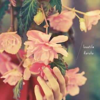 lovefilmのインスタグラム：「明日は1st single 「Haruka」の店着日です！ 3曲入り ¥1,080（税込） 是非、お買い求め下さい！  #lovefilm」