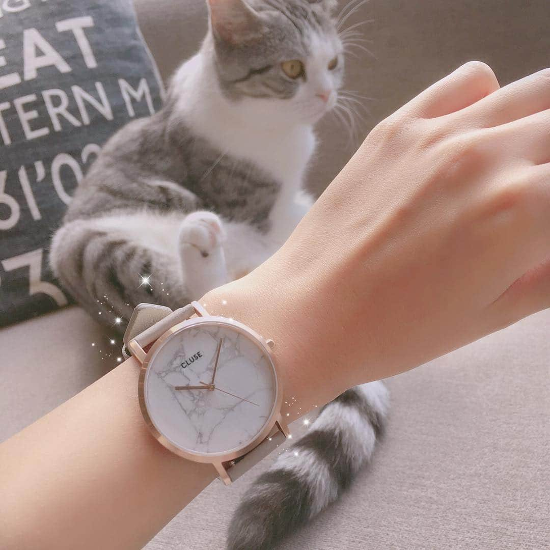 さきぼんさんのインスタグラム写真 - (さきぼんInstagram)「new watch monitor ⌚ グレーの時計に、グレーの猫ちゃん♥ * @clusejapan #猫カフェ #猫カフェmocha #cat #猫 #猫好きさんと繋がりたい  #cute #l4l #watch」6月6日 18時40分 - sakibon69