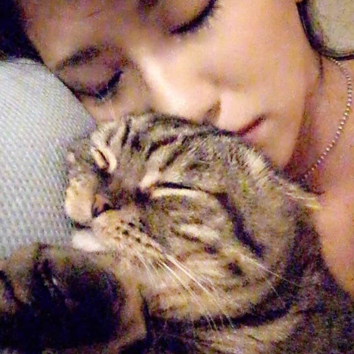 矢部あやのインスタグラム：「レイちゃんといちゃいちゃ♡ 幸せだにゃあ(о´ε`о) ・ #ふわもこ部 #ふわもこ猫部 #ねこ部 #ねこ好き #ねこすたぐらむ #にゃんこ #猫様 #にゃんだふるらいふ #スコティッシュ #スコティッシュフォールド #一緒にお昼寝」