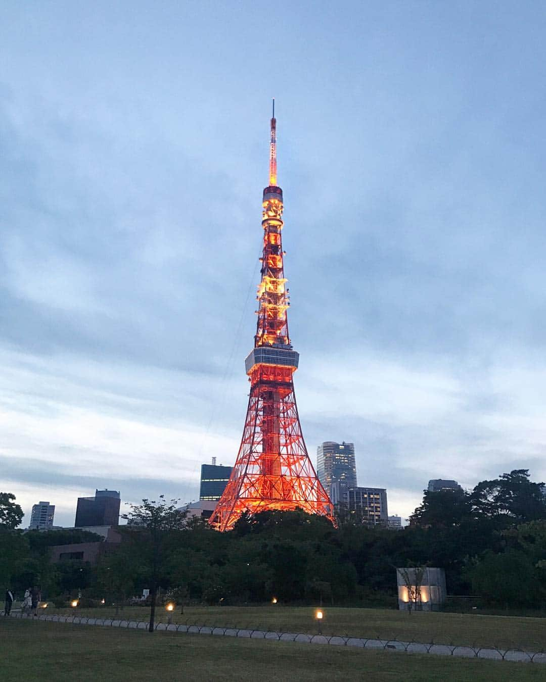 丹羽仁希さんのインスタグラム写真 - (丹羽仁希Instagram)「芝生ごろーんしながら見る この時間の東京タワーすき。 . #tokyotower #芝生体に刺さりがち笑」5月23日 19時24分 - __niki22