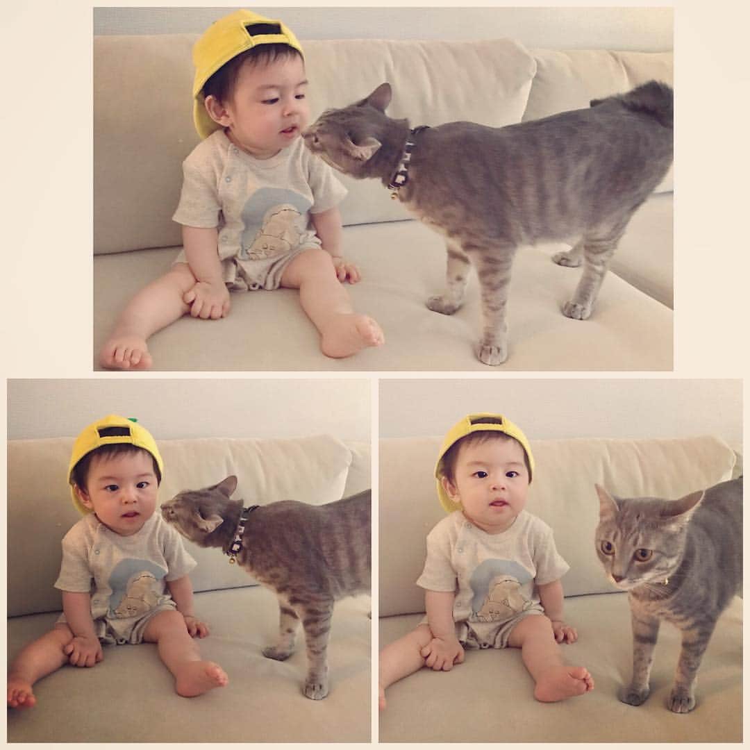 池田麻理子さんのインスタグラム写真 - (池田麻理子Instagram)「きょうも なかよし👶🐱 #帽子好き #家でもかぶると機嫌が良い #babygap #レモンキャップ  #生後270日 #生後8ヶ月 #息子 #もずくさん #猫 #catstagram  #赤ちゃんと猫 #仲良しコンビ」5月24日 10時52分 - mariko_ikeda_
