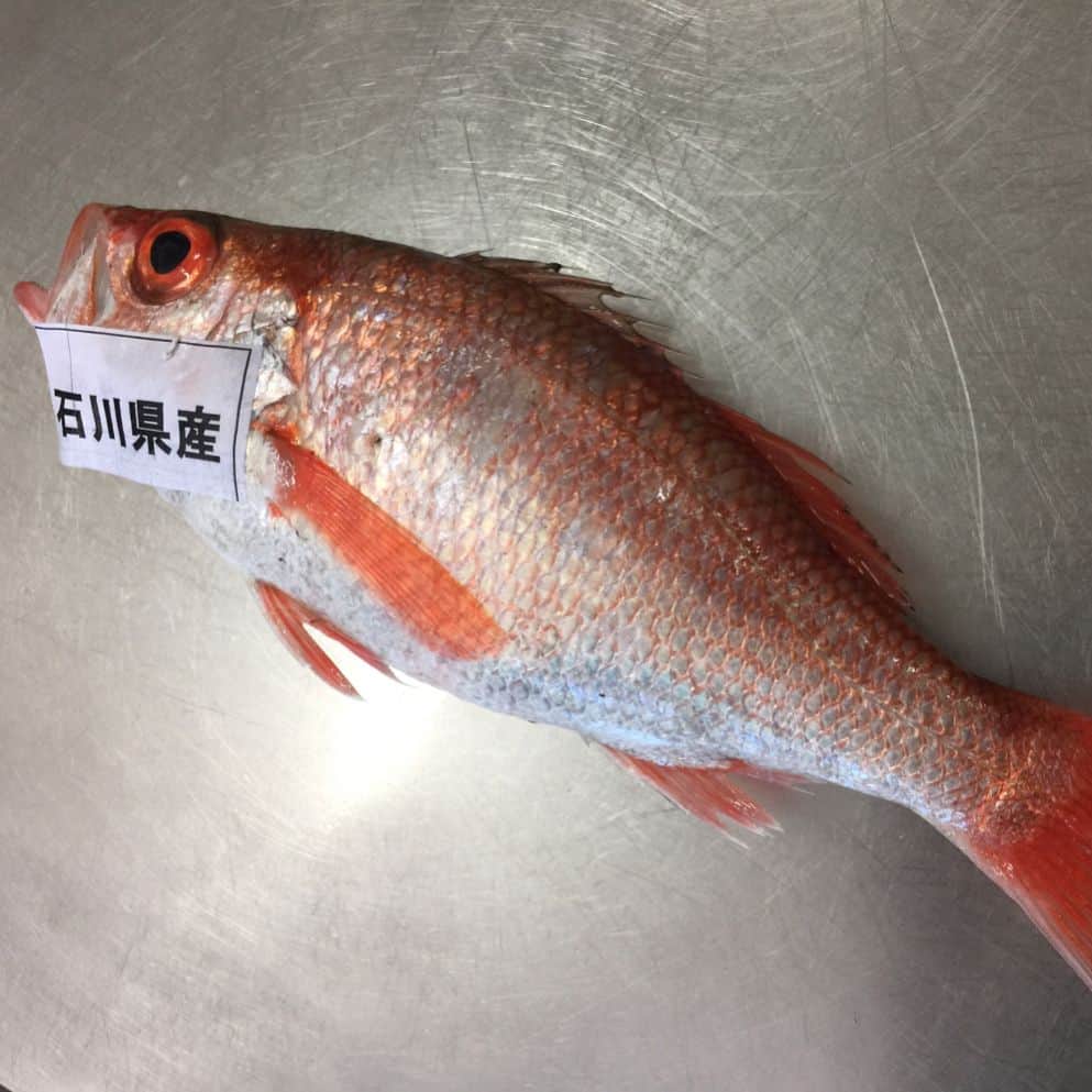 旅館 川端屋のグルメインスタ