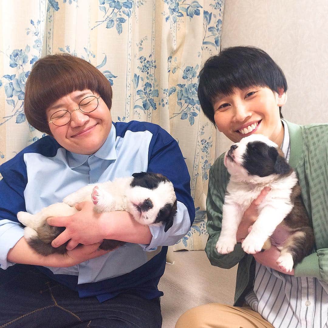 天才 志村どうぶつ園さんのインスタグラム写真 天才 志村どうぶつ園instagram セント バーナード親子じゃないよ 志村どうぶつ園 ハリセンボン 赤ちゃんスカウト 5月27日放送 犬 セントバーナード 親子じゃないよ 5月26日 17時23分 Minnano Zoo Ntv